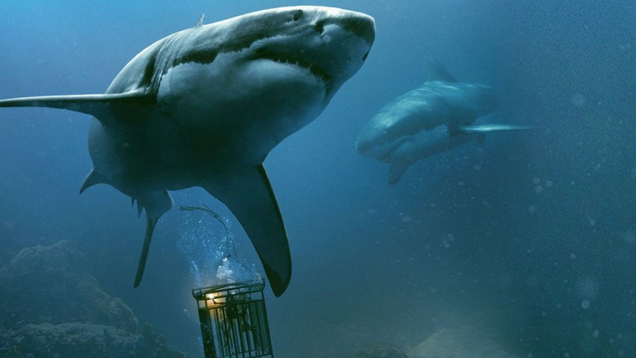 Bloeddorstige haai maakt jacht op duikende meisjes in trailer '47 Meters Down: Uncaged'