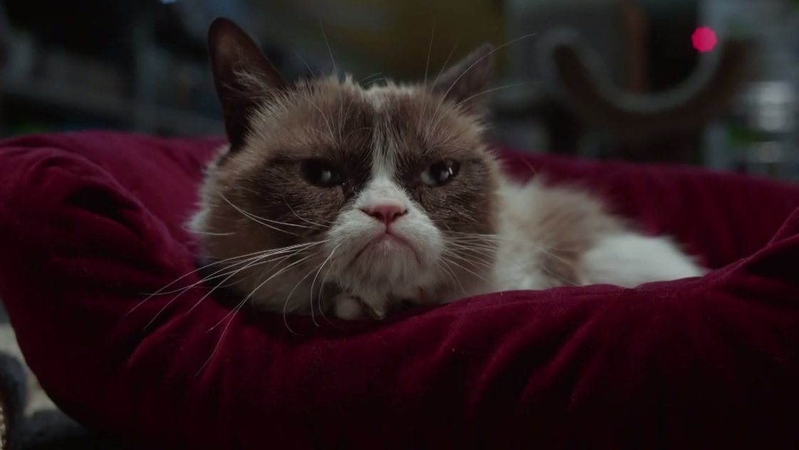 Beste trailer van 2014: 'Grumpy Cat's Worst Christmas Ever'