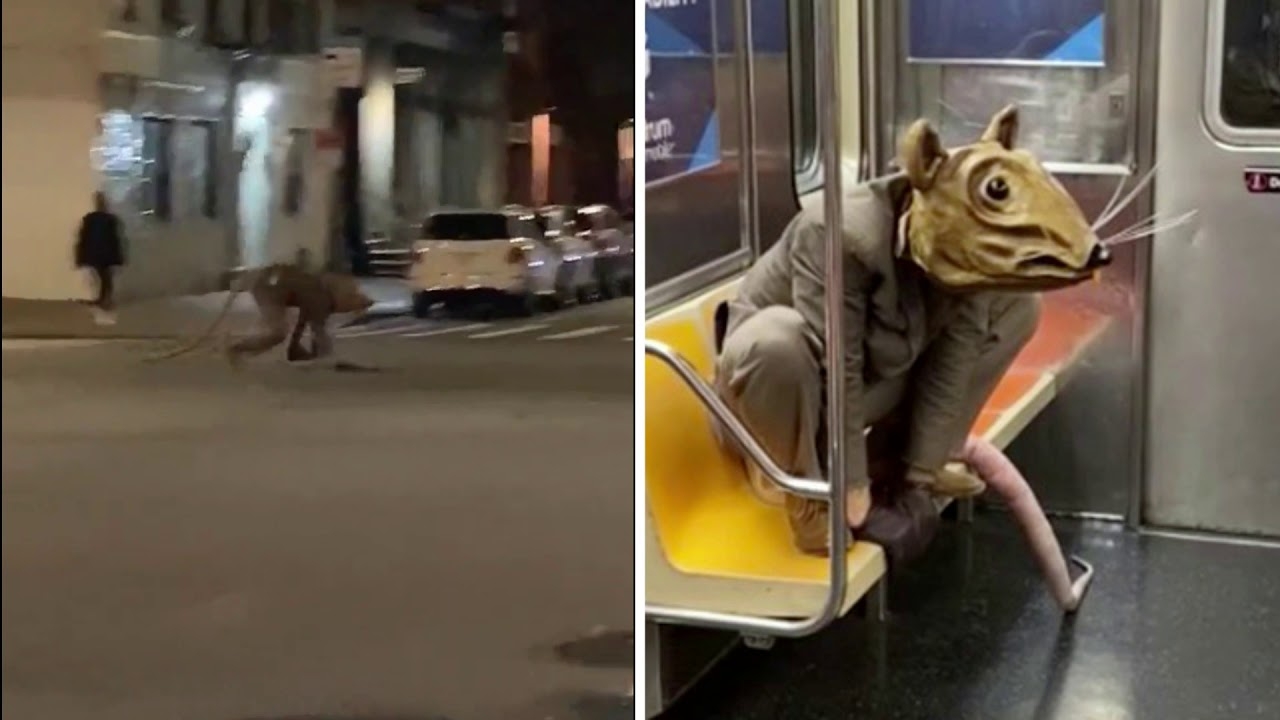 Virale filmpjes van enorme rat in New York blijken opnames voor een film