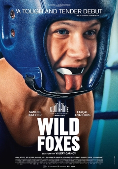 Wild Foxes