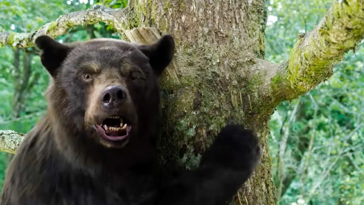 Trailer 'Cocaine Bear': Zwarte beer snuift coke, doodt 100 mensen