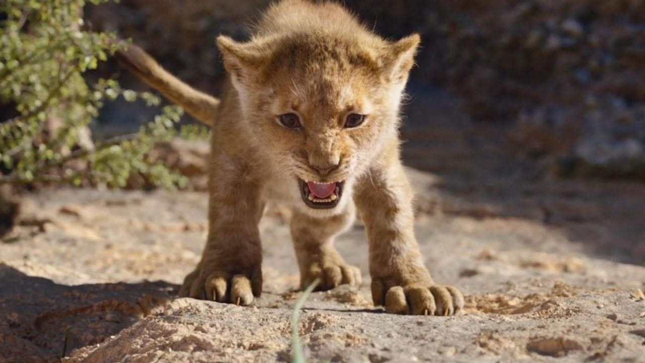 'The Lion King' is Box Office-koning aller tijden in Nederland