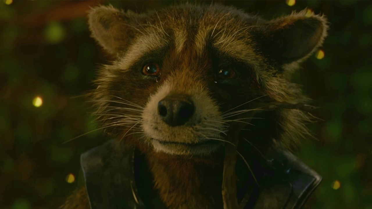 Volop aandacht voor uitspraak James Gunn: "I love f*cking raccoons!"