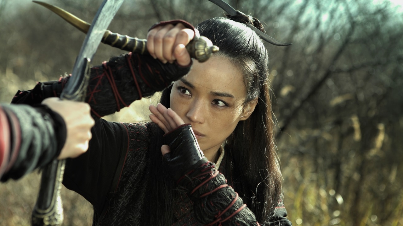 Alles over 'The Assassin'