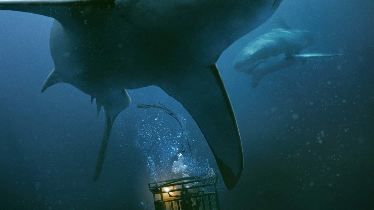 Véél haaienvoer in eerste teaser horrorfilm '47 Meters Down: The Next Chapter'
