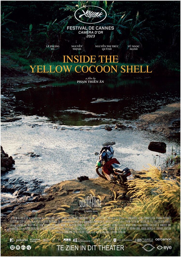 Inside the Yellow Cocoon Shell