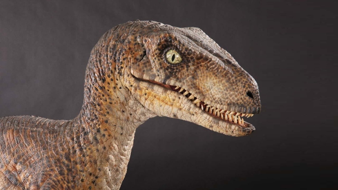 Regisseur van 'Saltburn' wil een "erotische Jurassic Park-film" maken