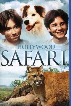 Hollywood Safari