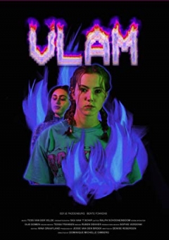 Vlam