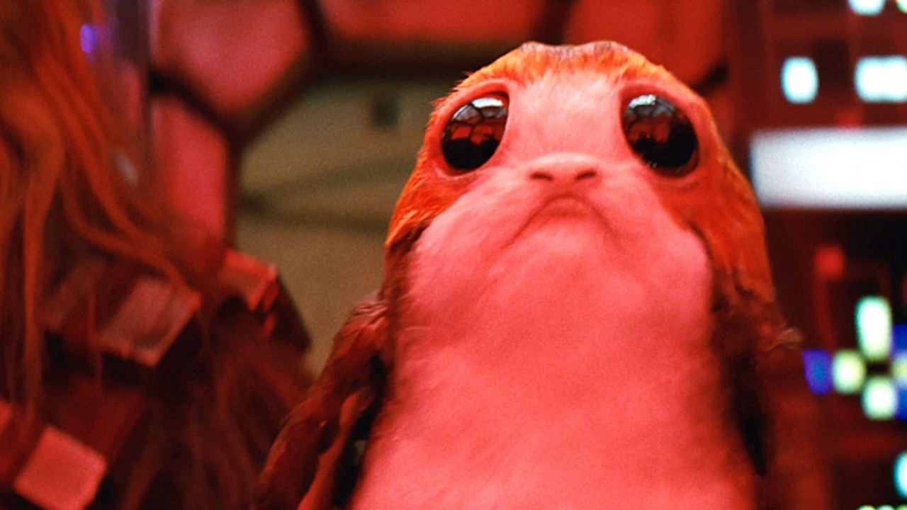 Meer over achtergrond vreemde Porgs in 'Star Wars: The Last Jedi'