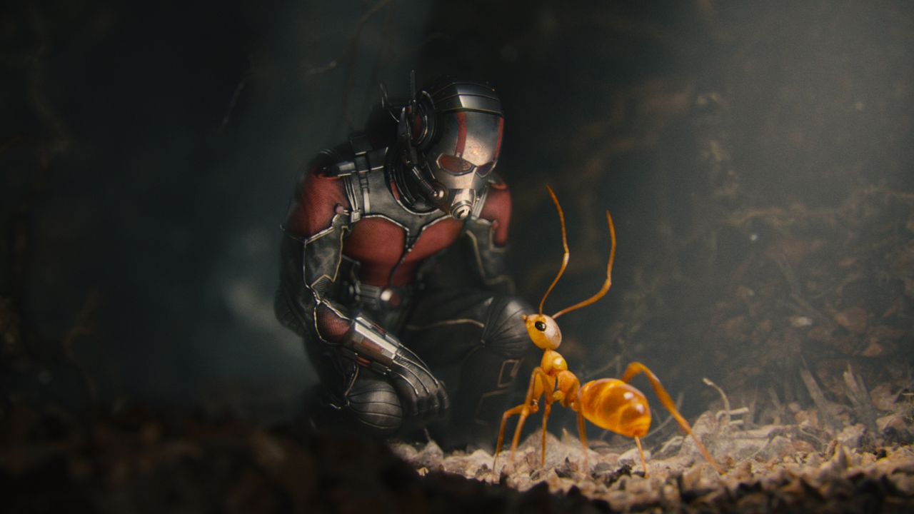 Ant-Man ontmoet 'oude helden' op nieuwe setfoto's 'Avengers 4'
