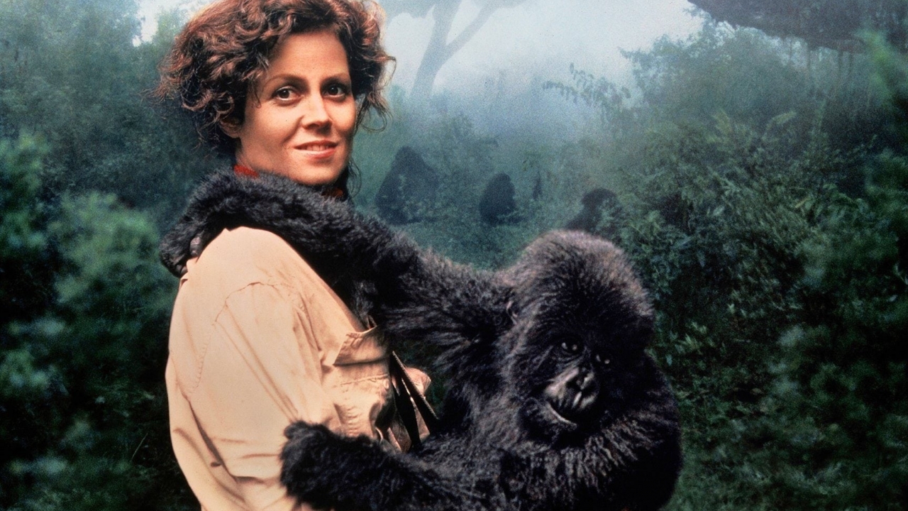 'Gorillas in the Mist'-regisseur overleden