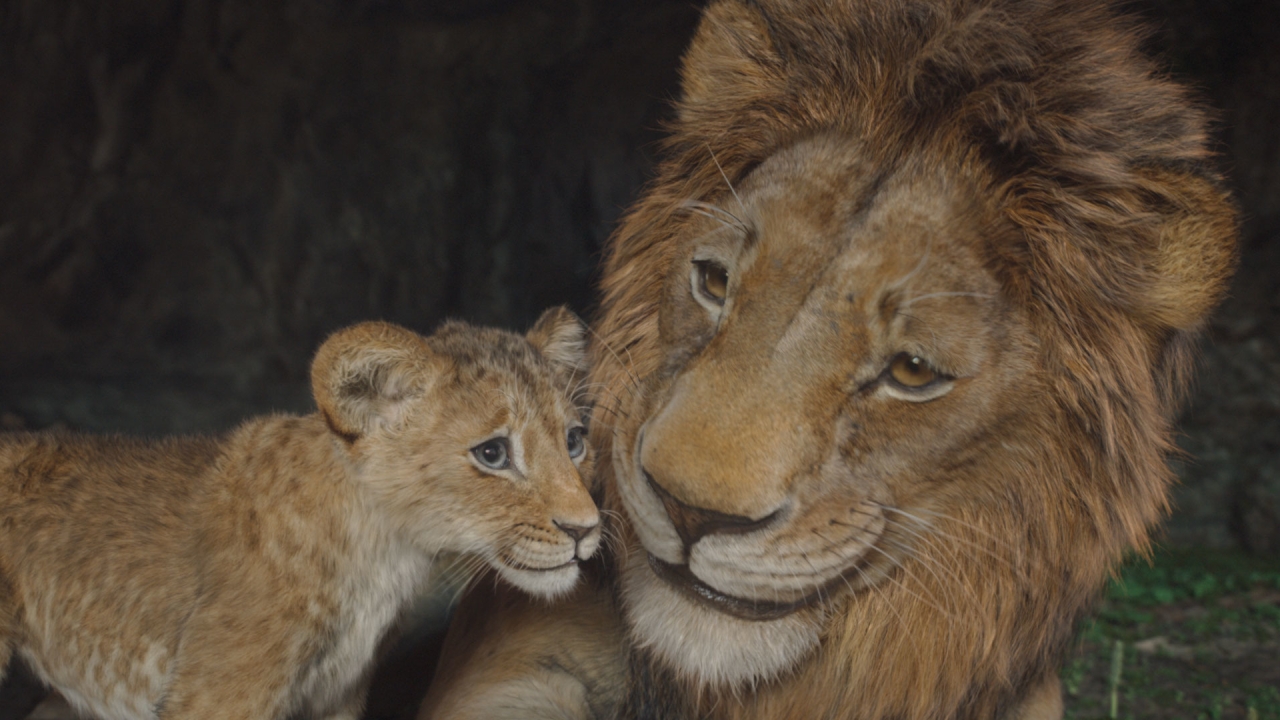 Eerste recensies voor 'Mufasa: The Lion King': waardige Disney-prequel?