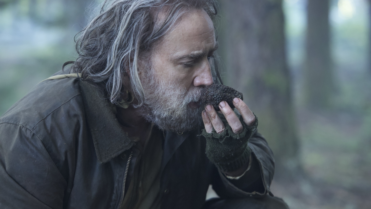 97% bij Rotten Tomatoes: #2 op HBO Max: een onvergetelijke film