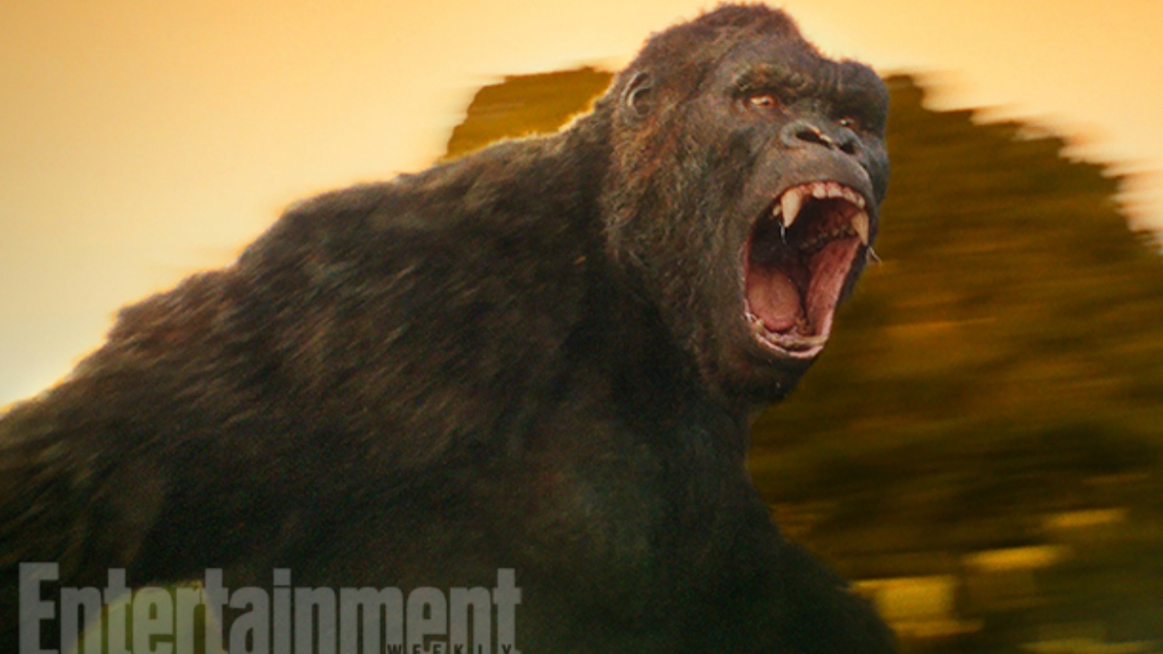 Eerste duidelijke beeld King Kong!