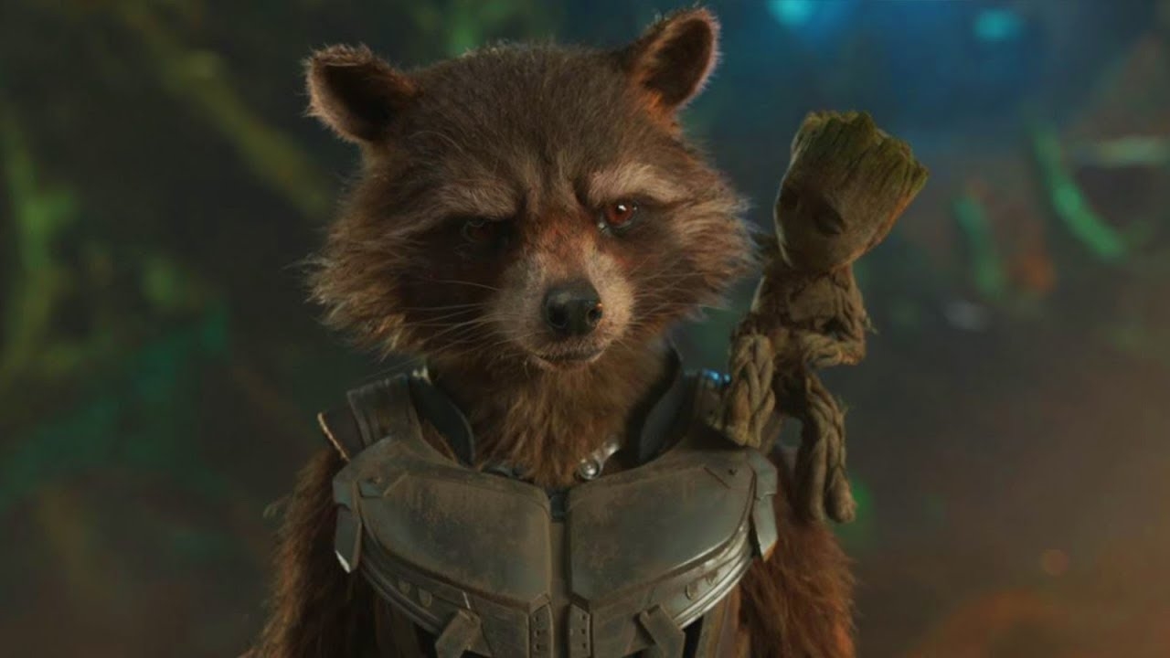 Rocket Raccoons oorsprong belangrijk deel van 'Guardians of the Galaxy Vol. 3'