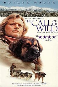 The Call of the Wild: Dog of the Yukon
