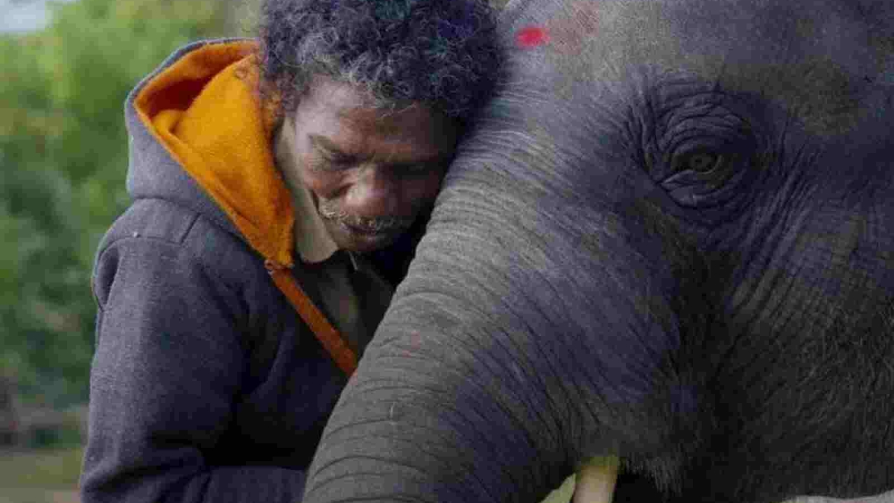 Netflix in heet water: sterren uit 'The Elephant Whisperers' zoeken gerechtigheid