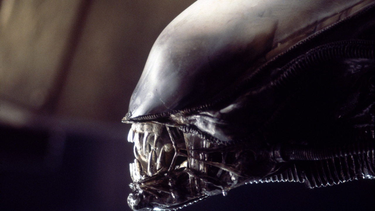Ridley Scott nog steeds kwaad om 'Alien'-vervolgfilms: "Ik was niet blij"