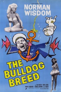 The Bulldog Breed