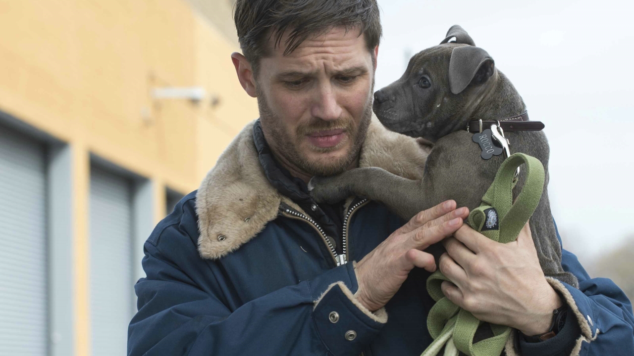 De mooie vrouw van Tom Hardy is eigenlijk net zo bekend in filmland