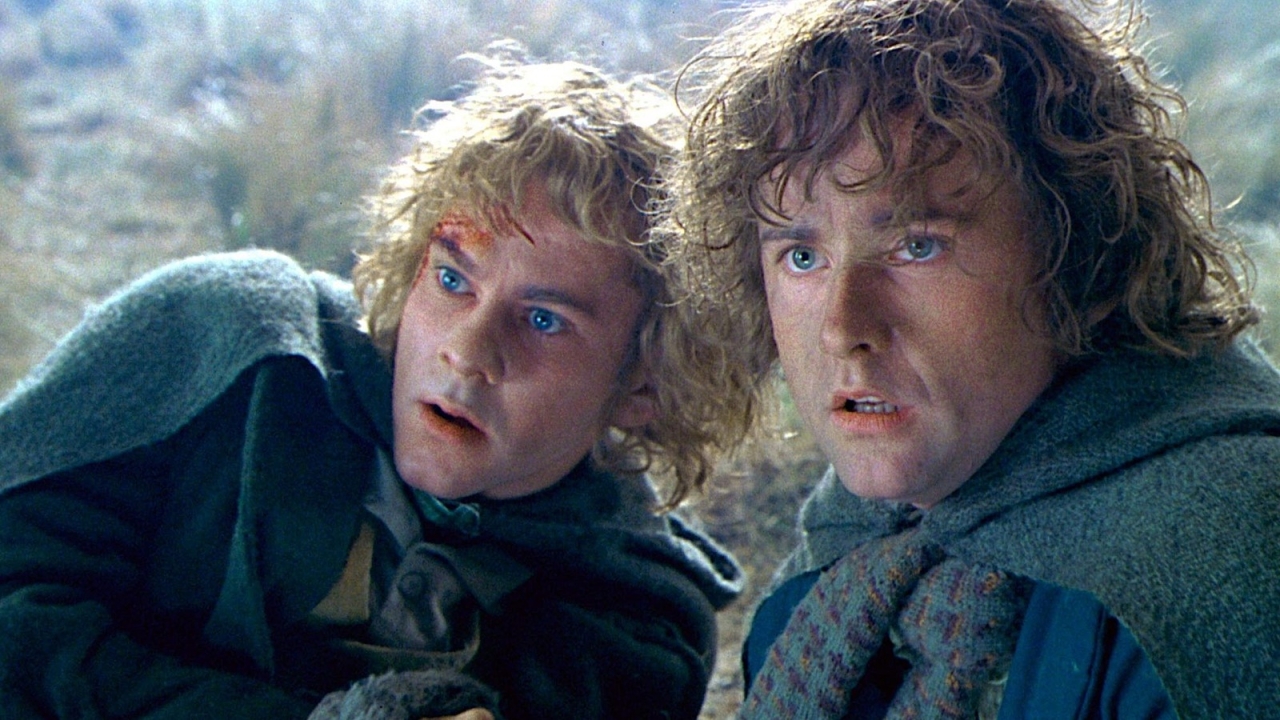 'Harry Potter' en 'Lord of the Rings' zijn "nog onvoldoende uitgemolken"