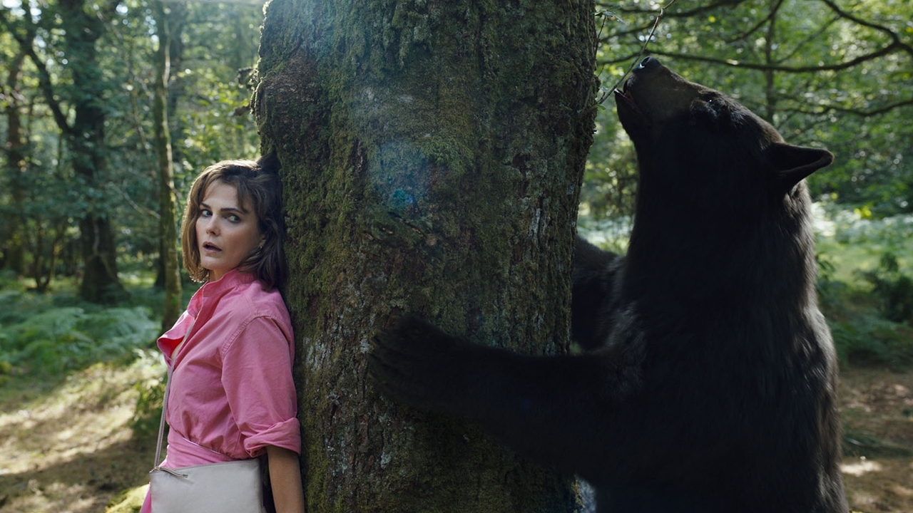 Eerste hints naar verhaal in 'Cocaine Bear 2'