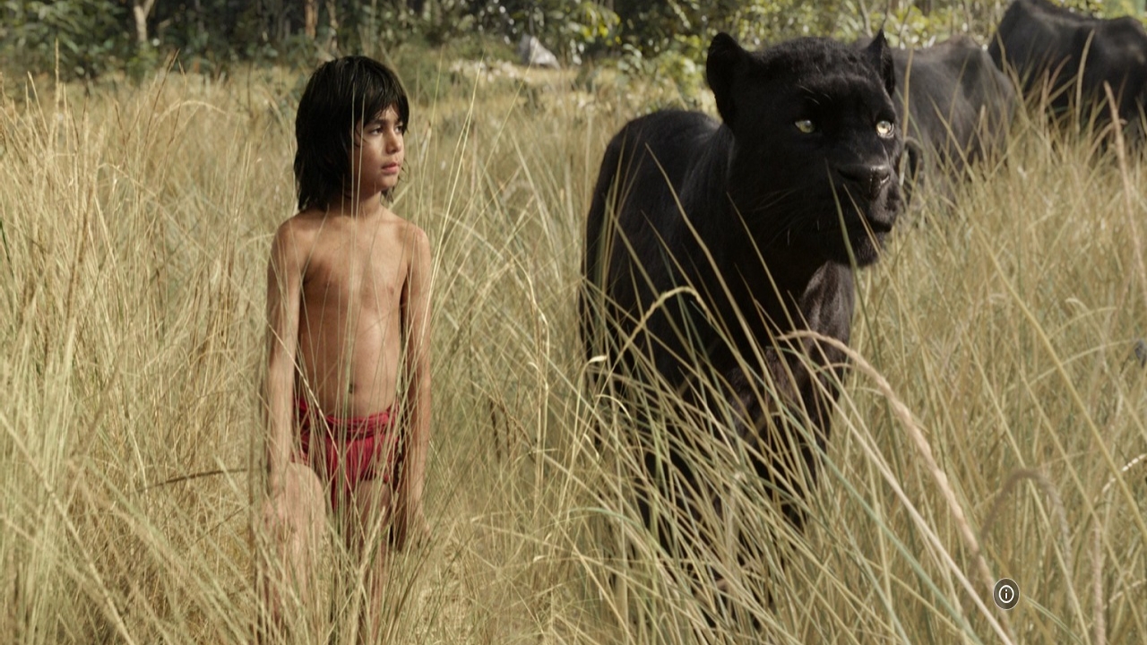 De status van 'The Jungle Book 2' lijkt zo goed als dood