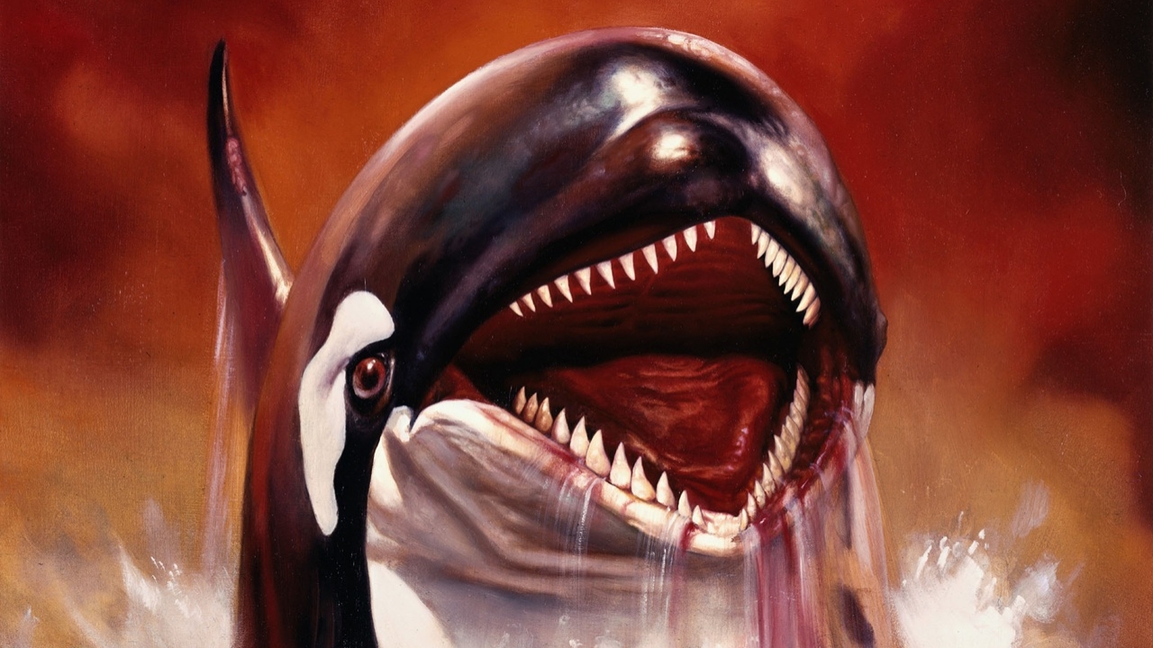 Trailer voor 'Killer Whale' is 'The Shallows', maar dan met een bloeddorstige orca