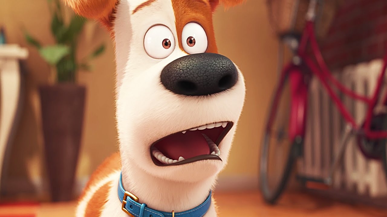 Louis C.K. niet langer in 'The Secret Life of Pets'