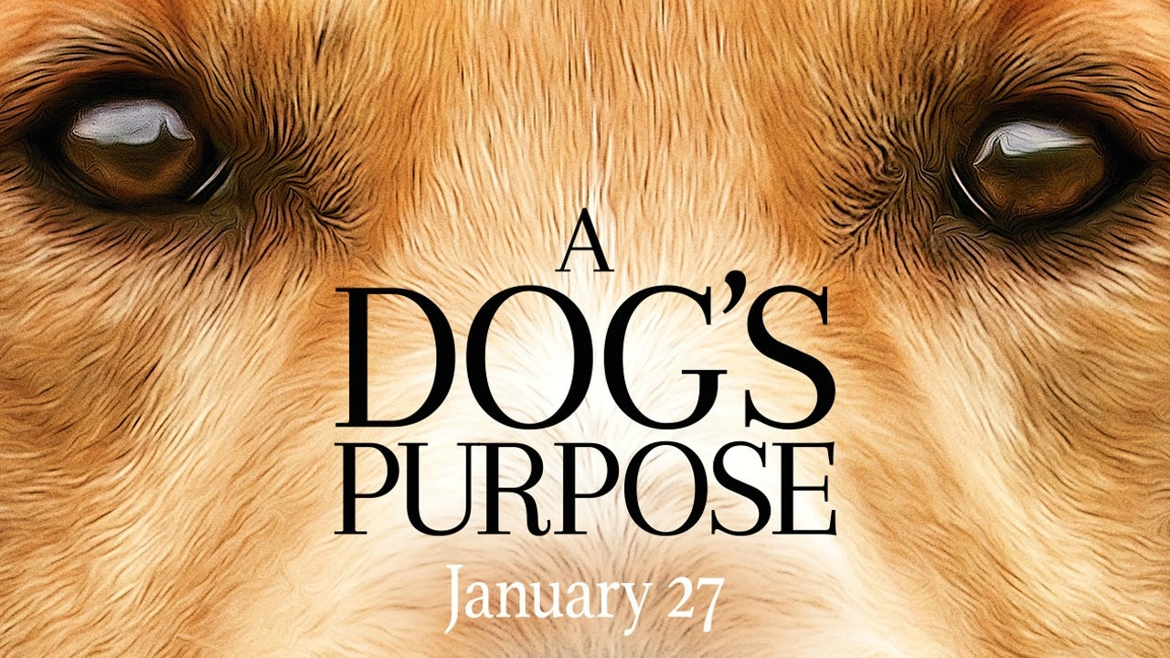Trailer 'A Dog's Purpose' is voor hondenliefhebbers