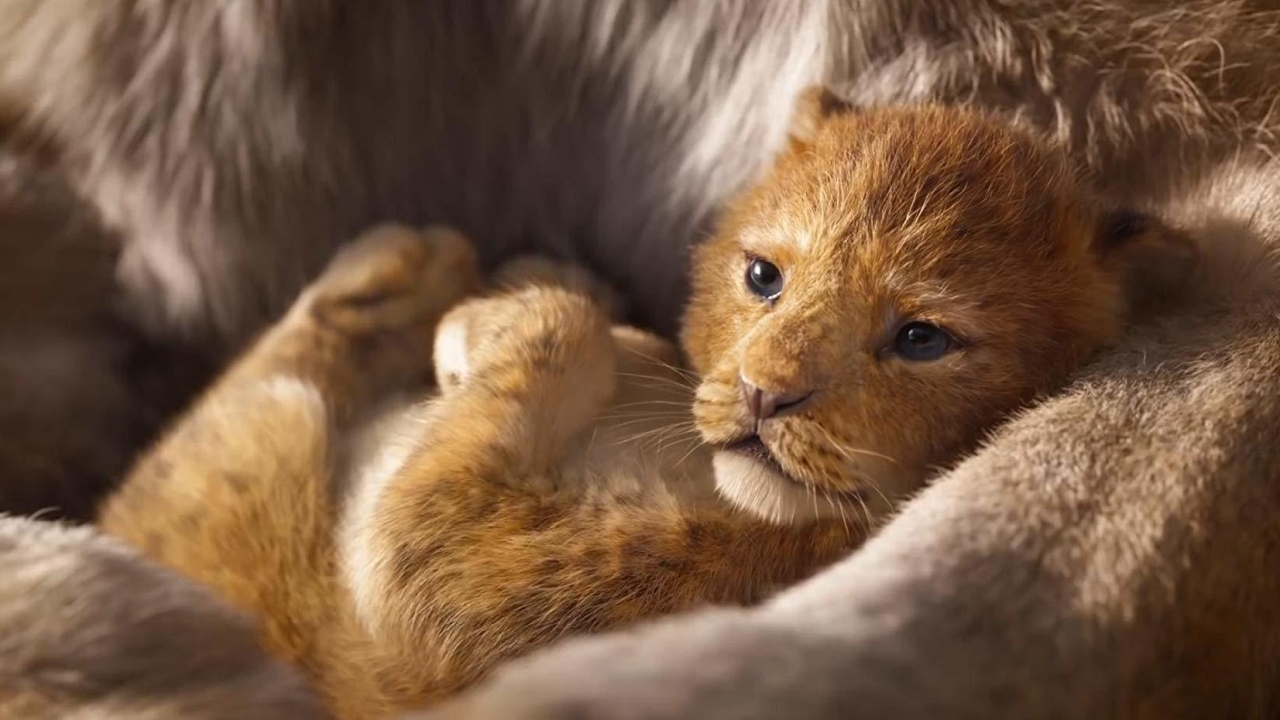 Nieuwe foto van 'Mufasa: The Lion King', morgen de eerste trailer