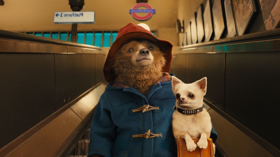 Beertje Paddington weer op avontuur in eerste trailer 'Paddington in Peru'