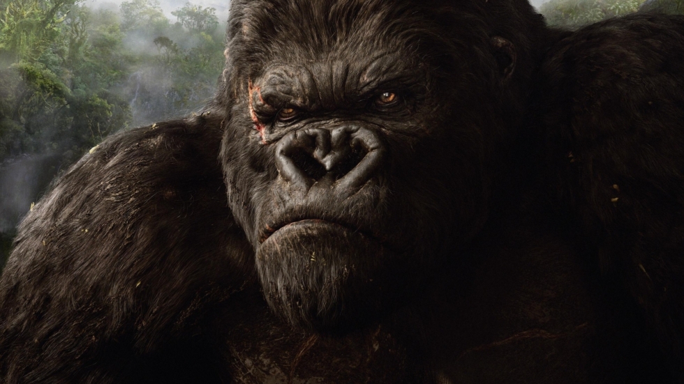 Dit wist je waarschijnlijk nog niet over Kong uit 'King Kong' uit 2005