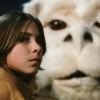 The NeverEnding Story