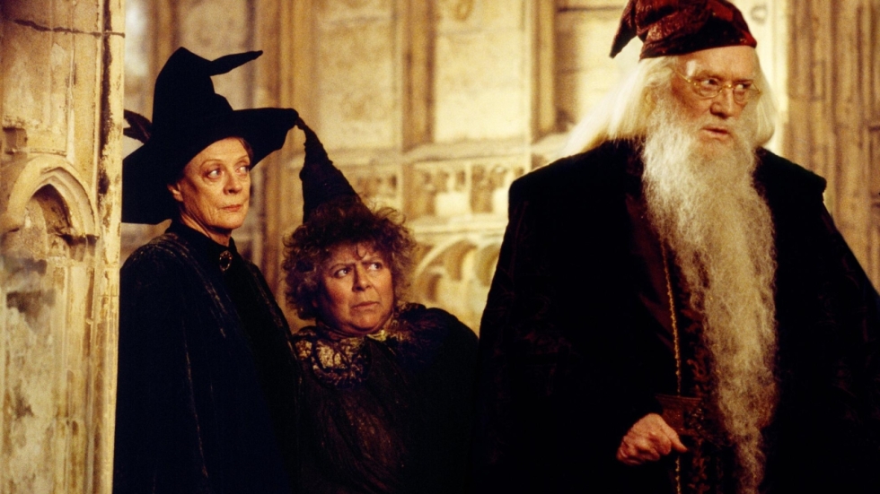 'Dumbledore's zoon' is niet te spreken over aanstaande 'Harry Potter'-serie: "Waarom?"