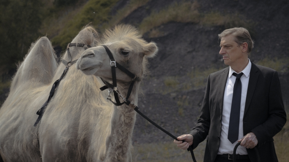 Bizarre Vlaamse film 'Waarom Wettelen' komt naar Nederlandse filmhuizen