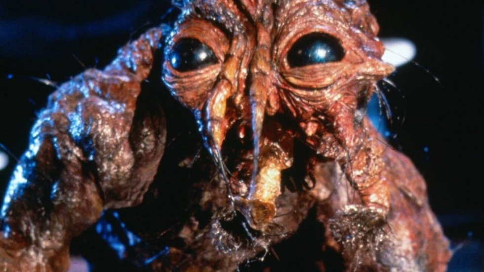 Klassieke horrorfilm 'The Fly' krijgt een nieuw vervolg