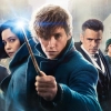 Fantastic Beasts and Where to Find Them