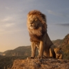 Wat je moet weten over 'Mufasa: The Lion King' voordat je de film in de bioscoop gaat kijken