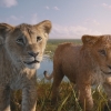 Wat je moet weten over 'Mufasa: The Lion King' voordat je de film in de bioscoop gaat kijken