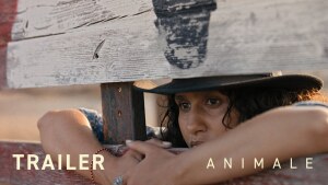 Animale (2024) video/trailer