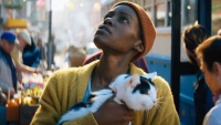 4 grote films op SkyShowtime die je dankzij Ziggo gratis kijkt