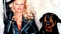 Pamela Anderson is haar sekssymbool-status helemaal zat: "Het is best eng"