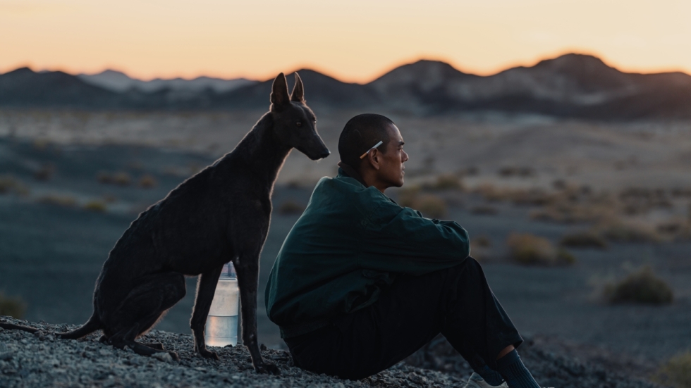 'Black Dog': een Chinese parel om te koesteren