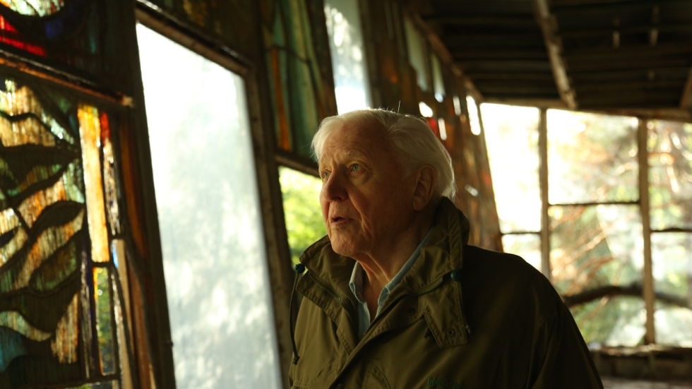 De legendarische Sir David Attenborough bereikt flinke mijlpaal en heeft van één ding spijt