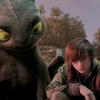 How to Train Your Dragon