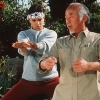 The Karate Kid