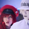 Cells at Work!