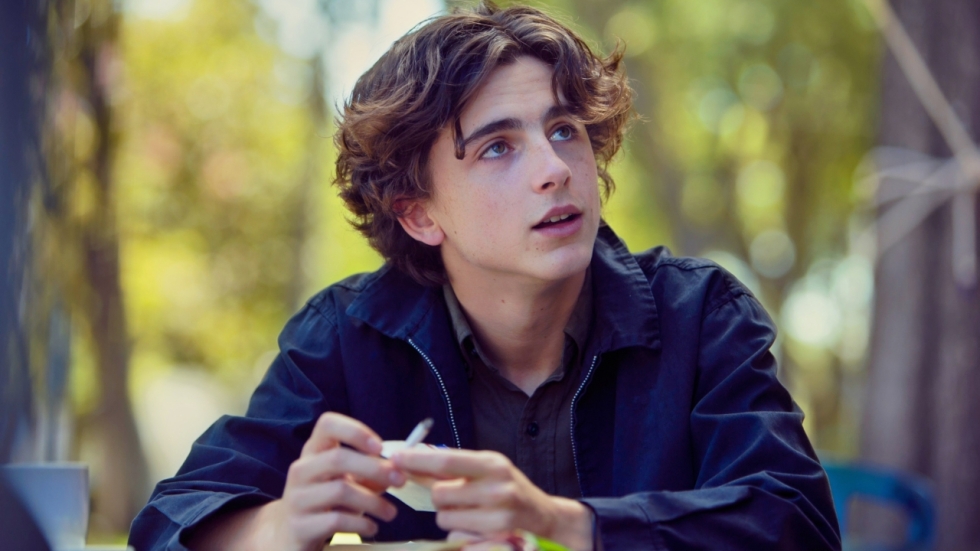 Timothée Chalamet onthult zijn favoriete film: "Alsof ik naar een reis keek"